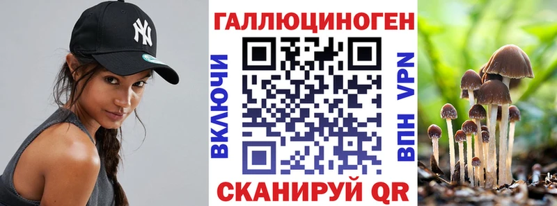 Галлюциногенные грибы мицелий  Красный Сулин 