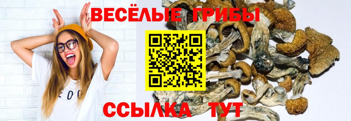 Красный Сулин  Псилоцибиновые грибы GOLDEN TEACHER  Галлюциногенные грибы Psilocybine cubensis  Вход с VPN 