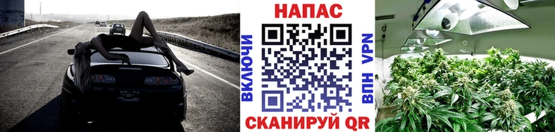 Шишки марихуана VHQ Красный Сулин