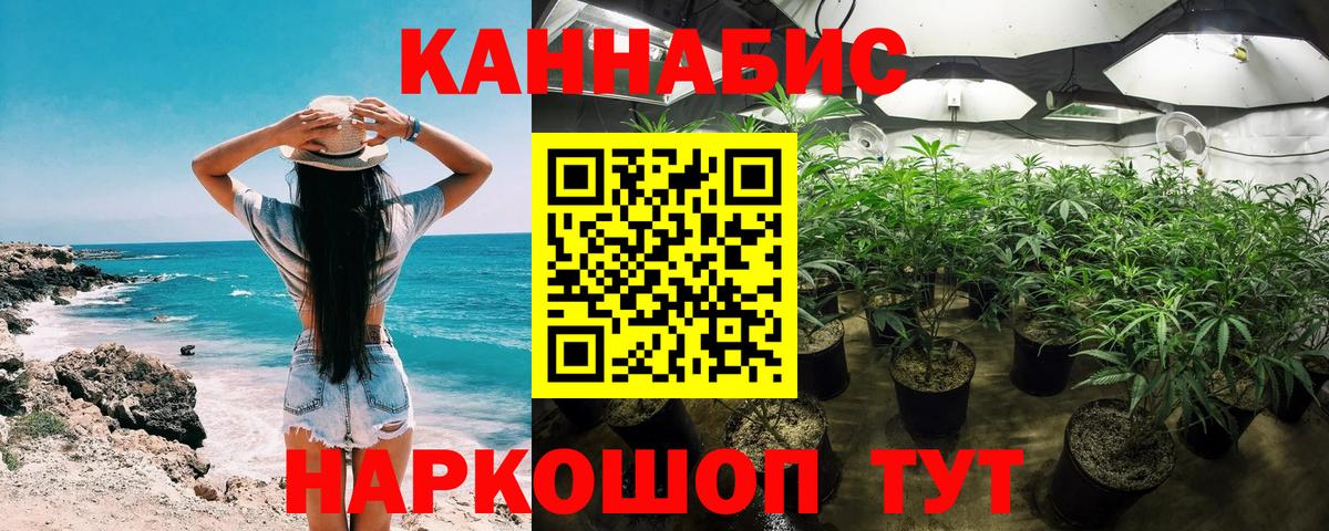Канабис Красный Сулин